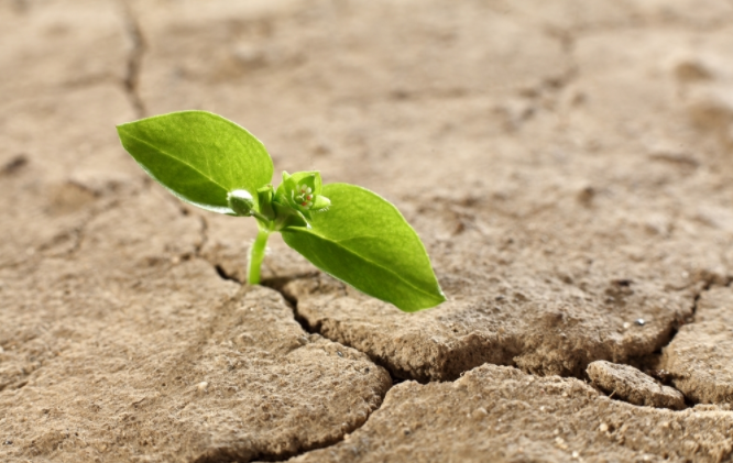 1680588336414641.png 土壤肥料檢測(cè)儀怎么用?